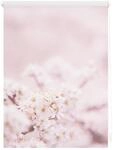 Lichtblick Rollo Klemmfix, ohne Bohren, blickdicht, Kirschbl&uuml;ten - Rosa Wei&szlig;