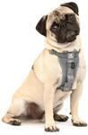 Kurgo Tru-Fit Autosicherheitsgeschirr f&uuml;r Hunde, Gr&ouml;&szlig;e XS, Grau