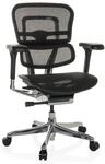 hjh OFFICE Luxus Chefsessel ERGOHUMAN BASE GEN2 Netzstoff mit Armlehnen