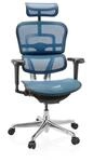 hjh OFFICE Luxus Chefsessel ERGOHUMAN ULTRA GEN2 Netzstoff mit Armlehnen