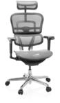 hjh OFFICE Luxus Chefsessel ERGOHUMAN ULTRA GEN2 Netzstoff mit Armlehnen