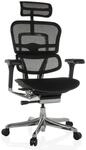 hjh OFFICE Luxus Chefsessel ERGOHUMAN GEN2 Stoff / Netzstoff mit Armlehnen