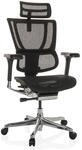 hjh OFFICE Luxus Chefsessel ERGOHUMAN SLIM GEN2 Netzstoff mit Armlehnen