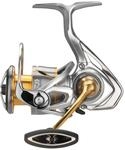 Daiwa 21 Freams LT 2500 Spinnrolle