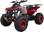 Benzin-Jugend-Quad S-10, 125ccm, ATV, Gep&auml;cktr&auml;ger, Not-Aus-Leine,...