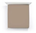 Formesse Spannbettlaken Bella Donna Jersey 037