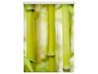 Lichtblick Rollo Klemmfix, ohne Bohren, blickdicht, Bambus - Grün