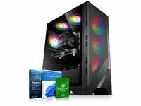 Gaming PC Speed V AMD Ryzen 5 5500, 32GB DDR4, NVIDIA RTX 3050 8 GB, 1TB SSD, WLAN,