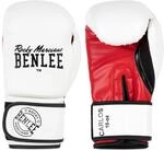 BENLEE Boxhandschuhe aus Kunstleder CARLOS