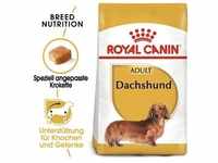 ROYAL CANIN Dachshund Adult Hundefutter trocken für Dackel 7,5 kg