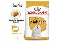 ROYAL CANIN Maltese Adult Hundefutter trocken 1,5 kg