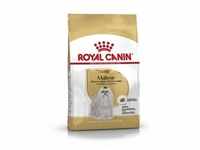 ROYAL CANIN Maltese Adult Hundefutter trocken 500 g