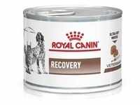 ROYAL CANIN Vet dog cat recovery 195 g Diät-Alleinfuttermittel für...