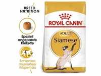 ROYAL CANIN Siamese Adult Katzenfutter trocken 2 kg