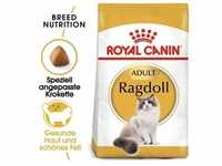 ROYAL CANIN Ragdoll Adult Katzenfutter trocken 2 kg