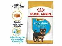 ROYAL CANIN Yorkshire Terrier Puppy Welpenfutter trocken 7.5 kg