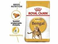 ROYAL CANIN Bengal Adult Katzenfutter trocken 10 kg