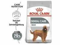 ROYAL CANIN DENTAL CARE MAXI Trockenfutter für große Hunde mit empfindlichen