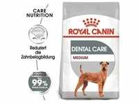 ROYAL CANIN DENTAL CARE MEDIUM Trockenfutter für mittelgroße Hunde mit