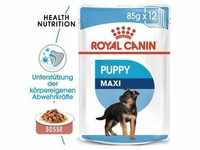 ROYAL CANIN MAXI PUPPY Welpenfutter nass für große Hunde 10 x 140 g