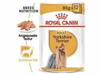 ROYAL CANIN Yorkshire Terrier Adult Hundefutter nass Mousse 12 x 85 g
