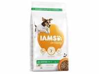 IAMS For Vitality Adult Small & Medium Breed Lamb 12 kg