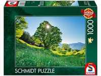 Schmidt Spiele 59761, Schmidt Spiele Berg-Ahorn im Sonnenlicht St. Gallen 1000 Teile