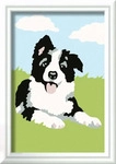 Ravensburger 23759, Ravensburger Malen nach Zahlen 23759 - Border Collie Welpe -