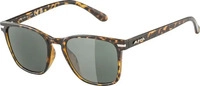 Alpina Sports B0CCYWCTK4, Alpina Sports Alpina Yefe (B0CCYWCTK4) Havana matt