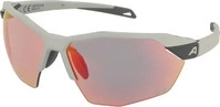 Alpina Sports Alpina Twist Six HR QV (Smoke-grey matt, Rainbow) (37788531) Grau