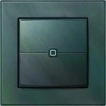 Homematic IP 159881A0, Homematic IP Wandtaster HmIP-WRC2-A,anthrazit (159881A0) Grau