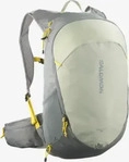 Salomon 0009026400047668, Salomon Trailblazer Rucksack 20-sedona sage-seagrass-cress