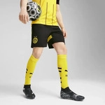 Puma 774977_02, Puma BVB Shorts Replica (L) (774977_02) Schwarz