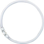 Osram Leuchtstofflampe (2GX13, 3400 lm, 1x) (4050300528540)