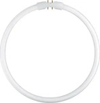 Osram Fc 22 W/840 (2GX13, 1900 lm, 1x) (4050300528465)