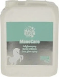 Magic Brush 3223444, Magic Brush Fellglanzspray ManeCare (Pferd) (3223444) Weiss,