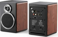 FiiO SA1 black, FiiO SA1 (1 Paar, 50 W) (SA1 black) Schwarz