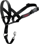 Company of Animals H111300, Company of Animals Halti Black Kopfgeschirr 1 (1,...