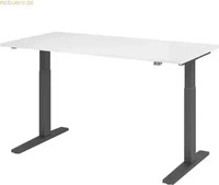 Hammerbacher VXMKA16/W/G, Hammerbacher Sitz-Steh-Schreibtisch VXMKA (VXMKA16/W/G)