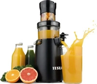 Tesla TSLJSJ500XLBLK, Tesla Slowjuicer SJ500 XL (TSLJSJ500XLBLK) Schwarz