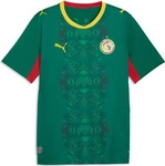 Puma 783171, Puma FSF Away Jersey Replica (S) (783171) Gr&uuml;n/Rot
