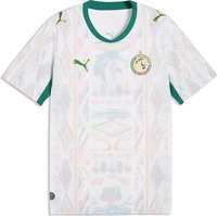 Puma 783165, Puma FSF Home Jersey Replica (M) (783165) Gr&uuml;n/Weiss