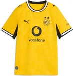 Puma 784091, Puma BVB Home Jersey Replica Jr (176) (784091) Gelb