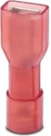 Phoenix Contact 3240537, Phoenix Contact Flachsteckh&uuml;lse Steckbreite: 4.8 mm