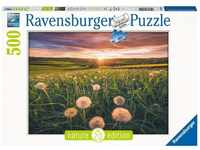 Ravensburger 00.016.990, Ravensburger Pusteblumen im Sonnenuntergang (500 Teile)