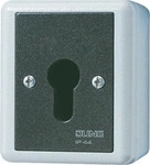 JUNG 833.18G, JUNG Schl&uuml;sselschalter (833.18G) Grau