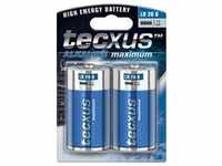 Tecxus 11012, Tecxus Mono LR 20 D - Batterie 2 x D - Alkalisch (2 Stk., D, 14800 mAh)