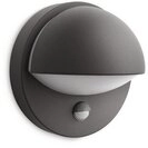 Philips 915002146003, Philips June (600 lm, E27, IP44) (915002146003) Grau Philips 915002146003, Philips June (600 lm, E27, IP44) (915002146003) Grau