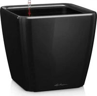 Lechuza 16129, Lechuza Quadro LS 21 (22.50 x 22.50 x 20.50 cm) (16129) Schwarz
