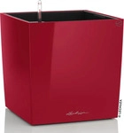 Lechuza 16367, Lechuza Cube (39 x 39 x 40 cm) (16367) Rot